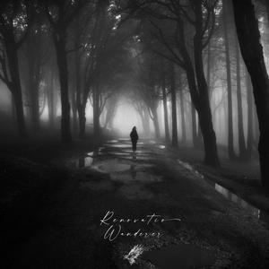 欧美成人在线视频
